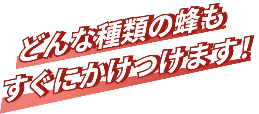 どんな種類の蜂もすぐにかけつけます