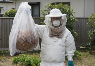 大きな蜂の巣を袋に入れている