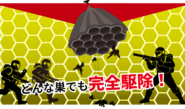 どんな巣でも完全駆除！