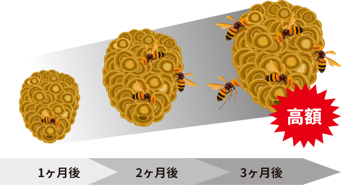 蜂の巣が大きくなる