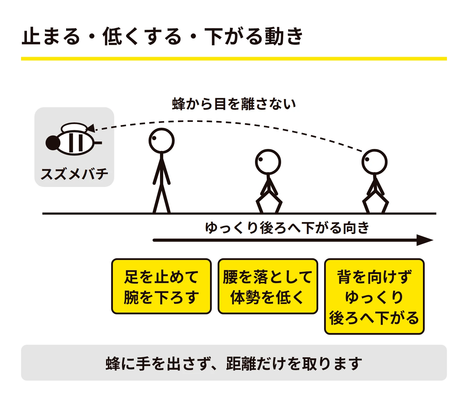 立ち止まり、体勢を低くして蜂に背を向けずゆっくり後ずさる動きを示した図