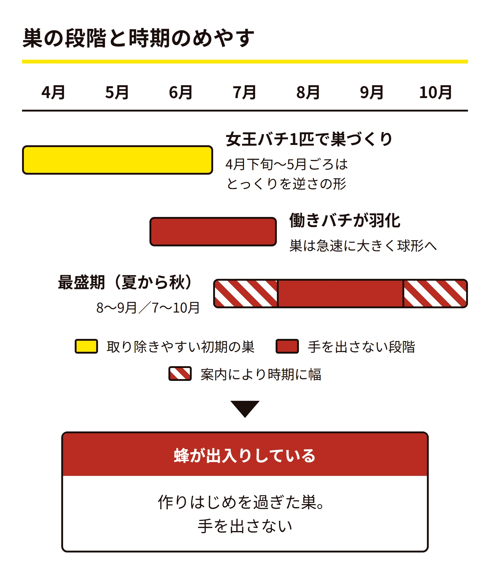 春の作りはじめから最盛期までの巣の段階と、自治体によって幅がある時期を並べた帯図